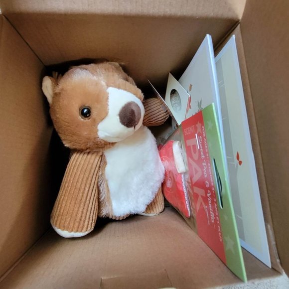 Sunny the Squirrel Scentsy Buddy with Scent Pak and Book - Rare, Hard to Find - Picture 6 of 8